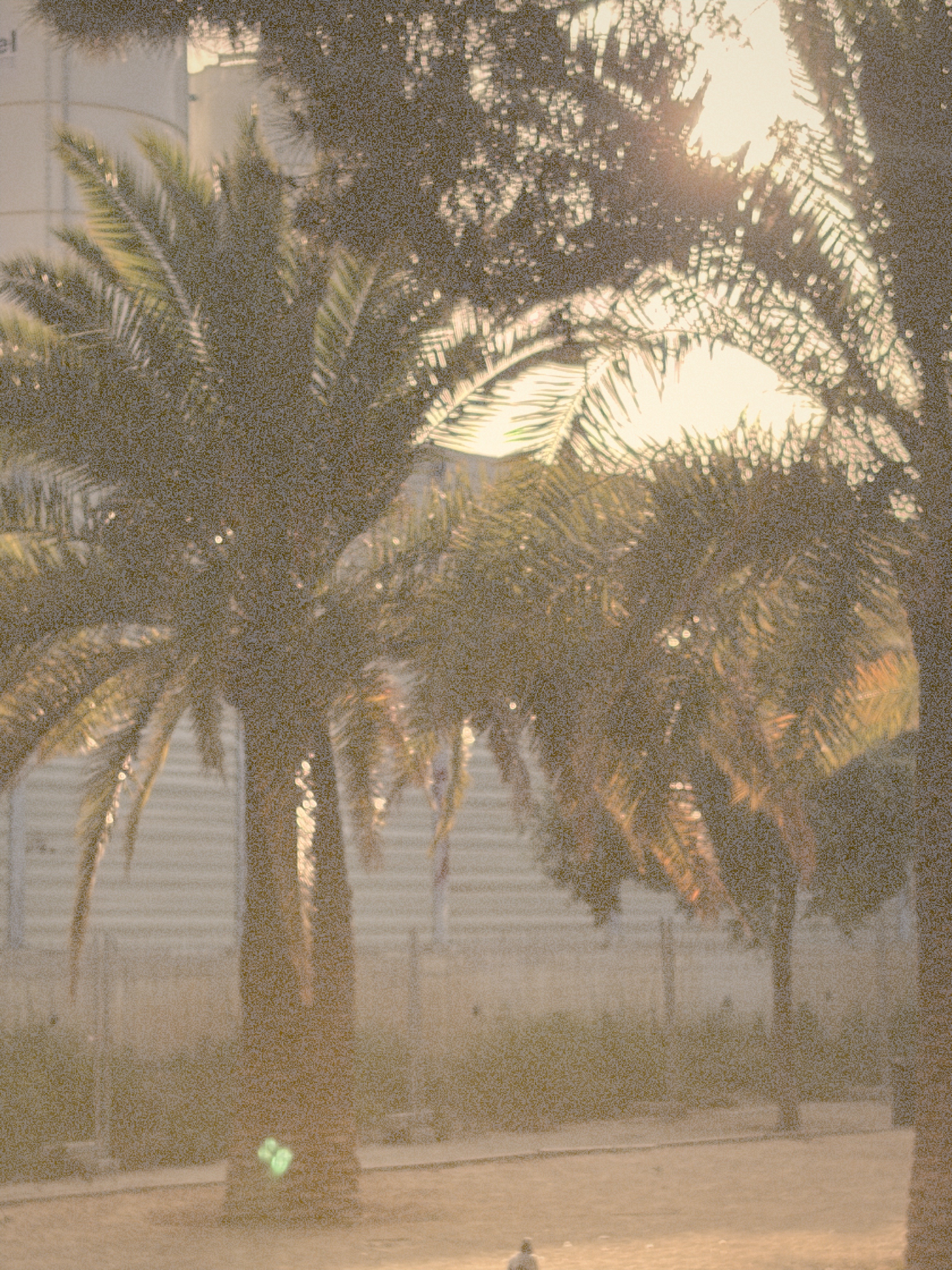 Expired film preset — Vintage look at ISO 200